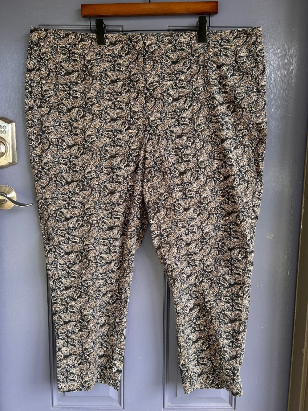 J Jill Ankle Pants, 26